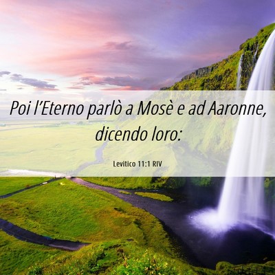 Picture 06 - Levitico 11:1 RIV - Poi l’Eterno parlò a Mosè e ad Aaronne, - Bible Verse Picture