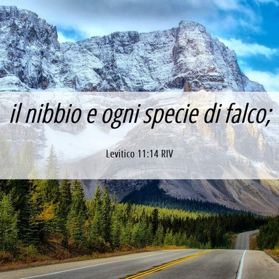 Picture 06 - Levitico 11:14 RIV - il nibbio e ogni specie di - Bible Verse Picture