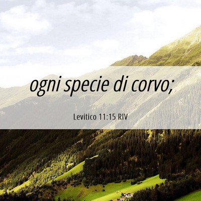 Picture 06 - Levitico 11:15 RIV - ogni specie di - Bible Verse Picture