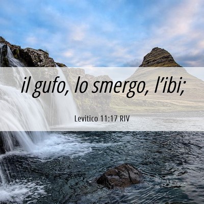 Picture 06 - Levitico 11:17 RIV - il gufo, lo smergo, - Bible Verse Picture