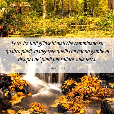 Picture 06 - Levitico 11:21 RIV - Però, fra tutti gl’insetti alati che camminano - Bible Verse Picture