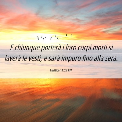 Picture 06 - Levitico 11:25 RIV - E chiunque porterà i loro corpi morti si laverà - Bible Verse Picture