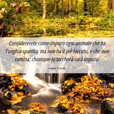 Picture 06 - Levitico 11:26 RIV - Considererete come impuro ogni animale che ha - Bible Verse Picture