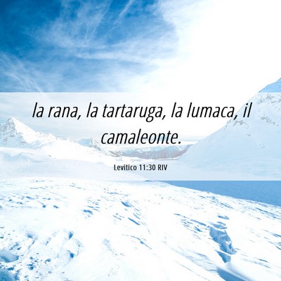 Picture 06 - Levitico 11:30 RIV - la rana, la tartaruga, la lumaca, il - Bible Verse Picture