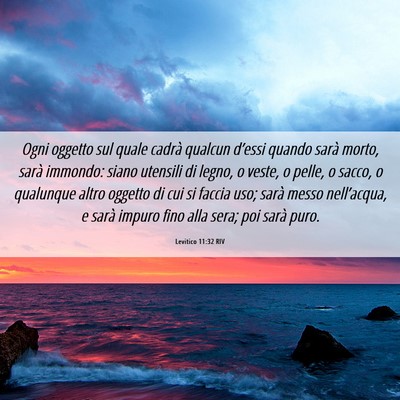 Picture 06 - Levitico 11:32 RIV - Ogni oggetto sul quale cadrà qualcun d’essi - Bible Verse Picture