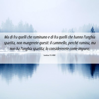 Picture 06 - Levitico 11:4 RIV - Ma di fra quelli che ruminano e di fra quelli che - Bible Verse Picture