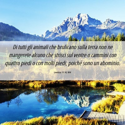 Picture 06 - Levitico 11:42 RIV - Di tutti gli animali che brulicano sulla terra - Bible Verse Picture