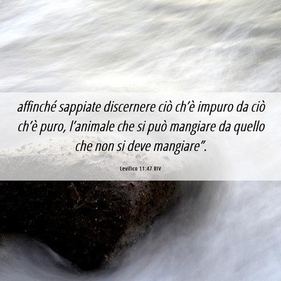 Picture 06 - Levitico 11:47 RIV - affinché sappiate discernere ciò ch’è impuro - Bible Verse Picture