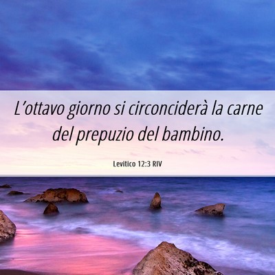 Picture 06 - Levitico 12:3 RIV - L’ottavo giorno si circonciderà la carne del - Bible Verse Picture
