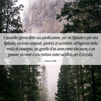 Picture 06 - Levitico 12:6 RIV - E quando i giorni della sua purificazione, per un - Bible Verse Picture