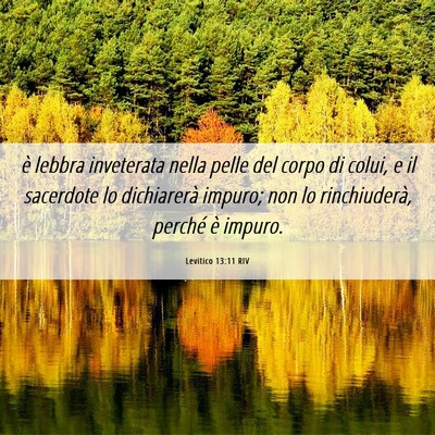 Picture 06 - Levitico 13:11 RIV - è lebbra inveterata nella pelle del corpo di - Bible Verse Picture
