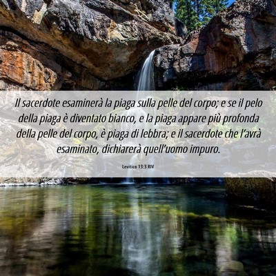Picture 06 - Levitico 13:3 RIV - Il sacerdote esaminerà la piaga sulla pelle del - Bible Verse Picture