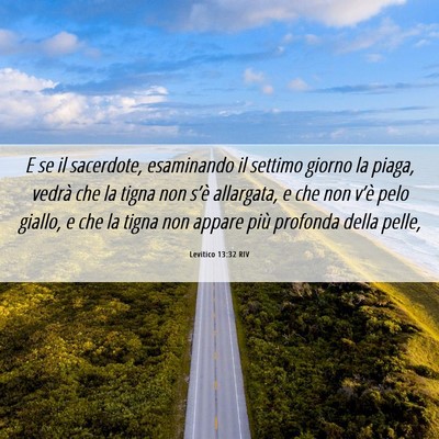 Picture 06 - Levitico 13:32 RIV - E se il sacerdote, esaminando il settimo giorno - Bible Verse Picture