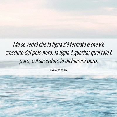 Picture 06 - Levitico 13:37 RIV - Ma se vedrà che la tigna s’è fermata e che - Bible Verse Picture