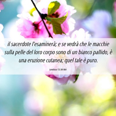 Picture 06 - Levitico 13:39 RIV - il sacerdote l’esaminerà; e se vedrà che le - Bible Verse Picture