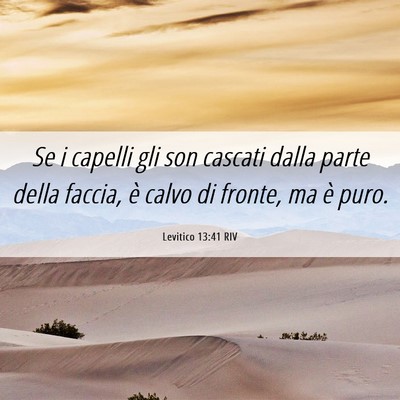 Picture 06 - Levitico 13:41 RIV - Se i capelli gli son cascati dalla parte della - Bible Verse Picture