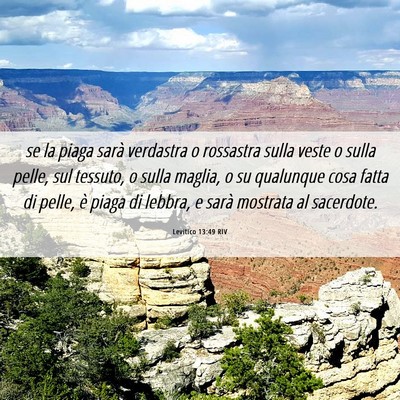Picture 06 - Levitico 13:49 RIV - se la piaga sarà verdastra o rossastra sulla - Bible Verse Picture