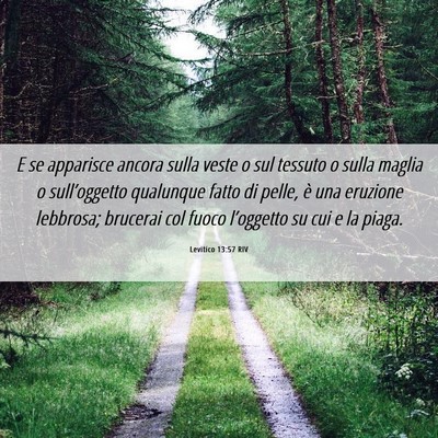 Picture 06 - Levitico 13:57 RIV - E se apparisce ancora sulla veste o sul tessuto o - Bible Verse Picture