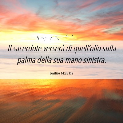 Picture 06 - Levitico 14:26 RIV - Il sacerdote verserà di quell’olio sulla palma - Bible Verse Picture