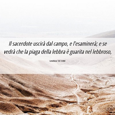 Picture 06 - Levitico 14:3 RIV - Il sacerdote uscirà dal campo, e l’esaminerà; - Bible Verse Picture