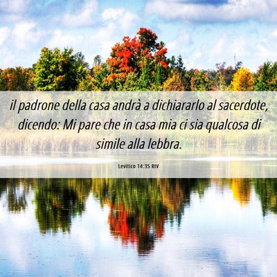 Picture 06 - Levitico 14:35 RIV - il padrone della casa andrà a dichiararlo al - Bible Verse Picture