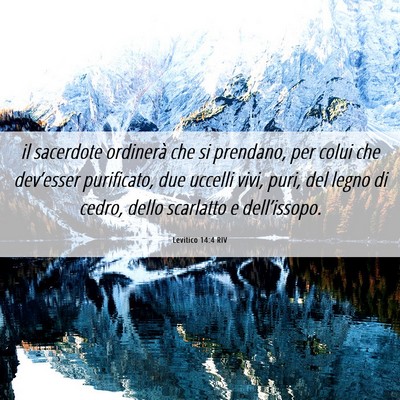 Picture 06 - Levitico 14:4 RIV - il sacerdote ordinerà che si prendano, per colui - Bible Verse Picture