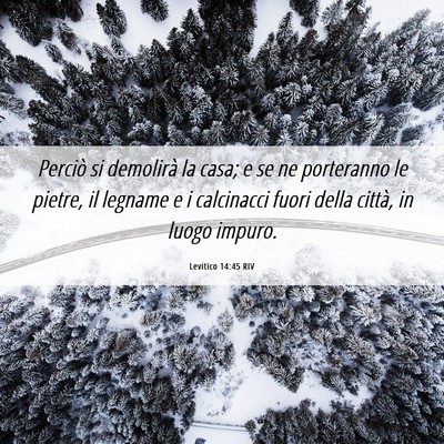 Picture 06 - Levitico 14:45 RIV - Perciò si demolirà la casa; e se ne porteranno - Bible Verse Picture
