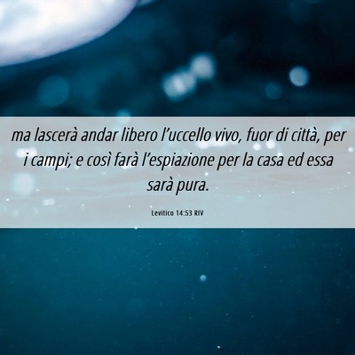 Picture 06 - Levitico 14:53 RIV - ma lascerà andar libero l’uccello vivo, fuor - Bible Verse Picture