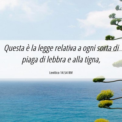 Picture 06 - Levitico 14:54 RIV - Questa è la legge relativa a ogni sorta di piaga - Bible Verse Picture