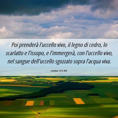 Picture 06 - Levitico 14:6 RIV - Poi prenderà l’uccello vivo, il legno di - Bible Verse Picture