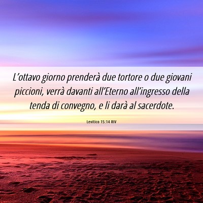 Picture 06 - Levitico 15:14 RIV - L’ottavo giorno prenderà due tortore o due - Bible Verse Picture