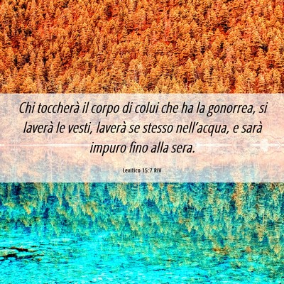 Picture 06 - Levitico 15:7 RIV - Chi toccherà il corpo di colui che ha la - Bible Verse Picture