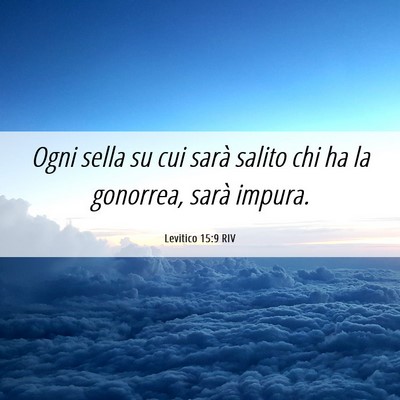 Picture 06 - Levitico 15:9 RIV - Ogni sella su cui sarà salito chi ha la - Bible Verse Picture