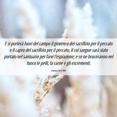 Picture 06 - Levitico 16:27 RIV - E si porterà fuori del campo il giovenco del - Bible Verse Picture