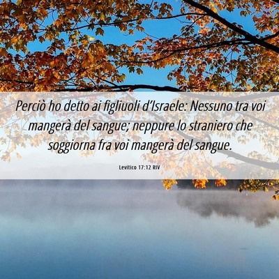Picture 06 - Levitico 17:12 RIV - Perciò ho detto ai figliuoli d’Israele: - Bible Verse Picture