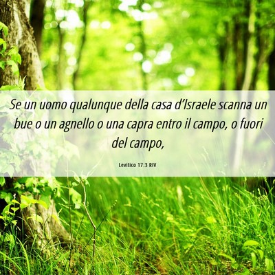 Picture 06 - Levitico 17:3 RIV - Se un uomo qualunque della casa d’Israele - Bible Verse Picture