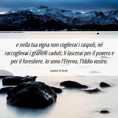 Picture 06 - Levitico 19:10 RIV - e nella tua vigna non coglierai i raspoli, né - Bible Verse Picture