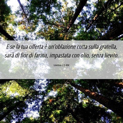 Picture 06 - Levitico 2:5 RIV - E se la tua offerta è un’oblazione cotta sulla - Bible Verse Picture
