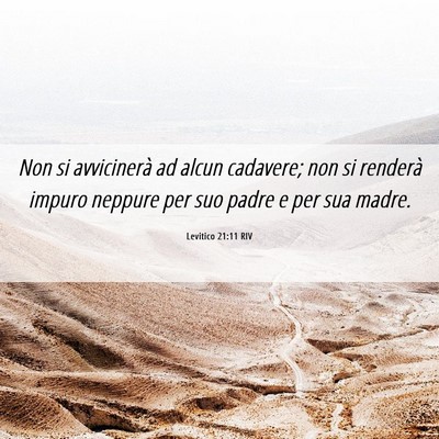 Picture 06 - Levitico 21:11 RIV - Non si avvicinerà ad alcun cadavere; non si - Bible Verse Picture