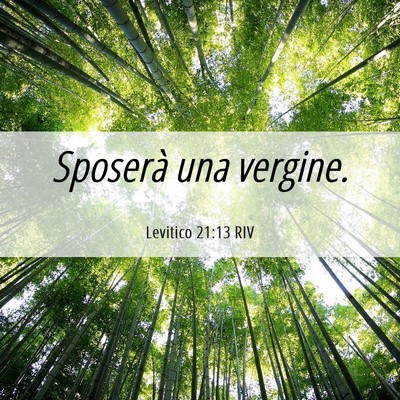 Picture 06 - Levitico 21:13 RIV - Sposerà una - Bible Verse Picture