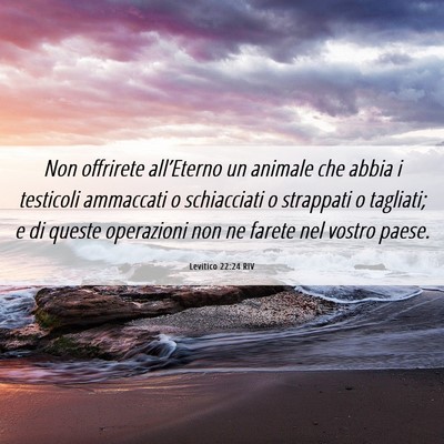 Picture 06 - Levitico 22:24 RIV - Non offrirete all’Eterno un animale che abbia i - Bible Verse Picture