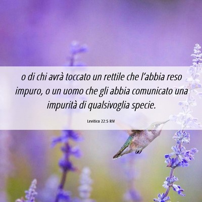 Picture 06 - Levitico 22:5 RIV - o di chi avrà toccato un rettile che l’abbia - Bible Verse Picture