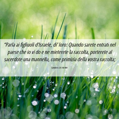 Picture 06 - Levitico 23:10 RIV - “Parla ai figliuoli d’Israele, di’ loro: - Bible Verse Picture