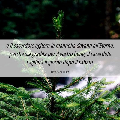 Picture 06 - Levitico 23:11 RIV - e il sacerdote agiterà la mannella davanti - Bible Verse Picture
