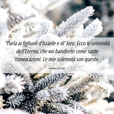 Picture 06 - Levitico 23:2 RIV - “Parla ai figliuoli d’Israele e di’ loro: - Bible Verse Picture