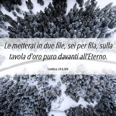 Picture 06 - Levitico 24:6 RIV - Le metterai in due file, sei per fila, sulla - Bible Verse Picture