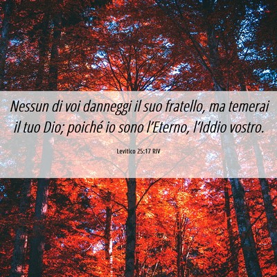 Picture 06 - Levitico 25:17 RIV - Nessun di voi danneggi il suo fratello, ma - Bible Verse Picture