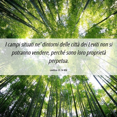 Picture 06 - Levitico 25:34 RIV - I campi situati ne’ dintorni delle città dei - Bible Verse Picture