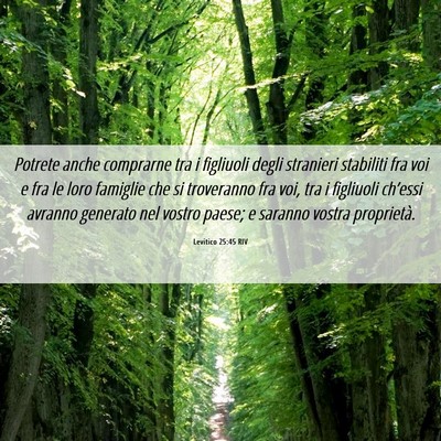 Picture 06 - Levitico 25:45 RIV - Potrete anche comprarne tra i figliuoli degli - Bible Verse Picture