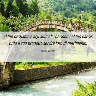 Picture 06 - Levitico 25:7 RIV - al tuo bestiame e agli animali che sono nel tuo - Bible Verse Picture